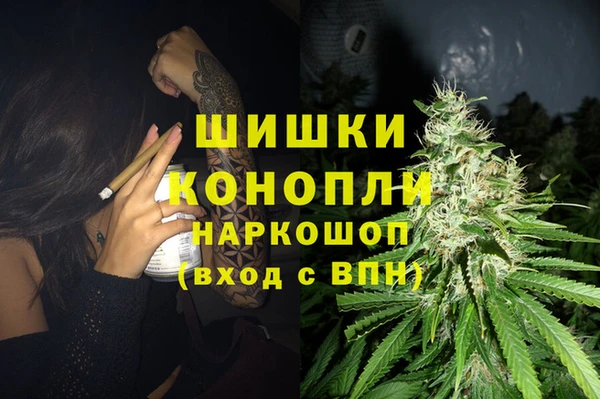 сатива Богородск