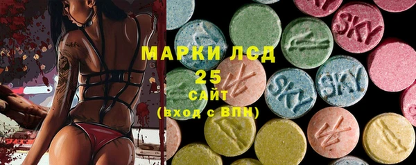 дмт Богородицк