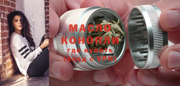 дмт Богородицк