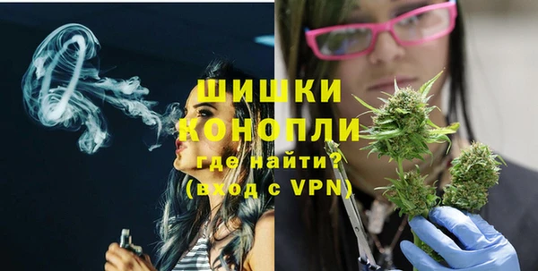 дмт Богородицк
