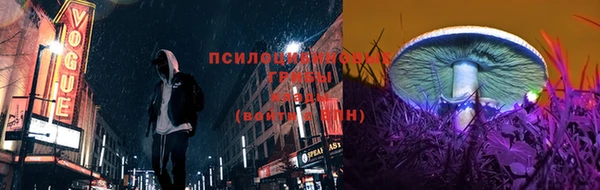 дмт Богородицк