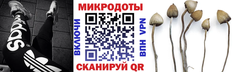 Купить  Кулебаки  Галлюциногенные грибы Psilocybe 